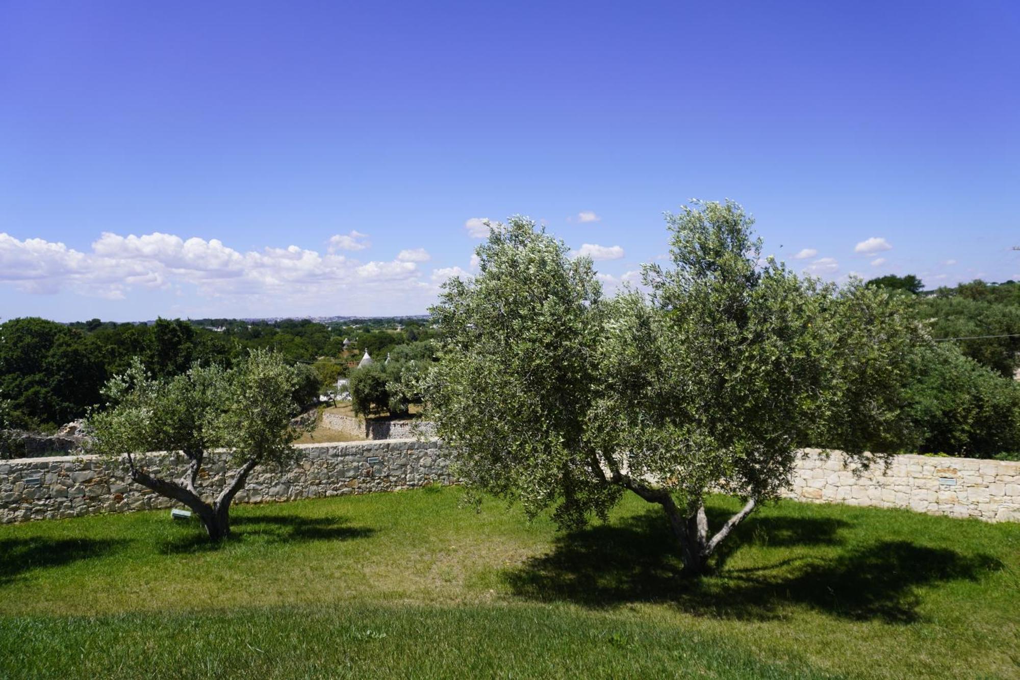 Villa Trullo Amico à Cisternino Extérieur photo